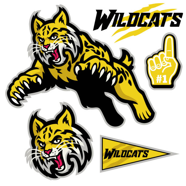 illustrations, cliparts, dessins animés et icônes de sport sportif mascotte style de wildcats dans ensemble - chat sauvage