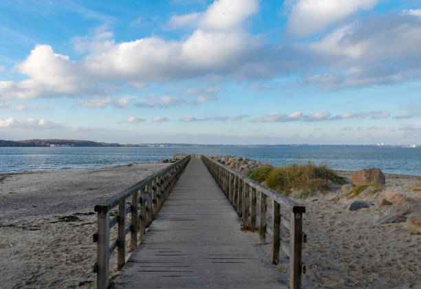istock the beach at german eastcoast 1155255810