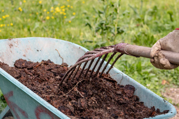 estrume: adubo orgânico do bio natural em um carrinho de mão da roda com pitchfork. vida da exploração agrícola - horse dung - fotografias e filmes do acervo