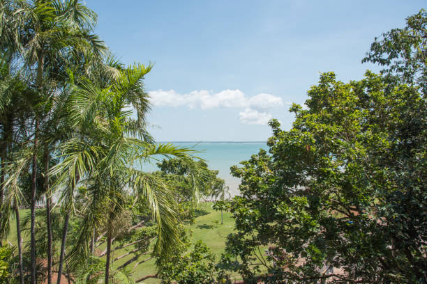 istock Elevated View over the Timor Sea 1155259986