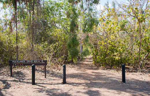 Trail with distance marker and lush bushland growth at the Casuarina Coastal Reserve in the Northern Territory of Australia