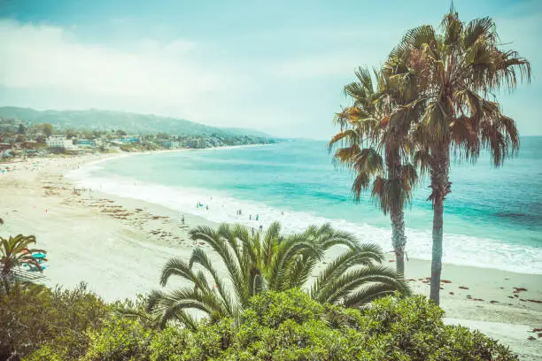 Coastline in Laguna Beach, Orange county, California in a slightly overcast yet bright day. The main beach with palms.