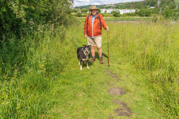 istock Active senior man and dog in countryside 1155262038