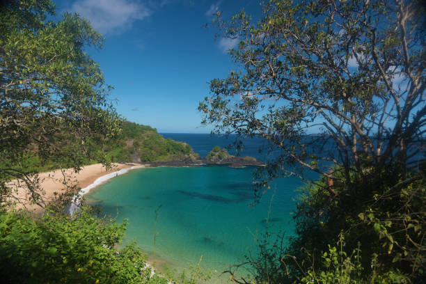 istock Sancho Bay, Fernando de Noronha 1155262553