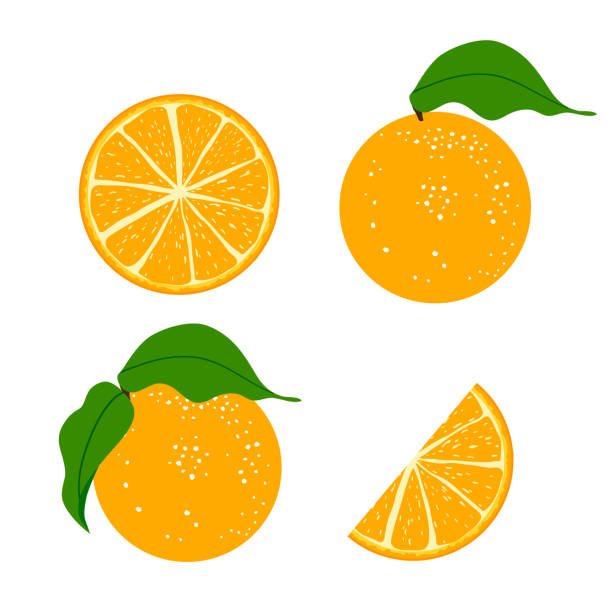 orangefarbene früchte auf weißem hintergrund isoliert. orange ganz, scheibe, halb abgeschnittenes orange. - gezweitelt stock-grafiken, -clipart, -cartoons und -symbole