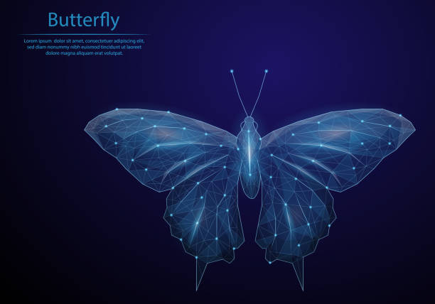 istock Abstract image Butterfly in the form of a starry sky or space, consisting of points, lines, and shapes in the form of planets, stars and the universe. Low poly vector background. 1155270686