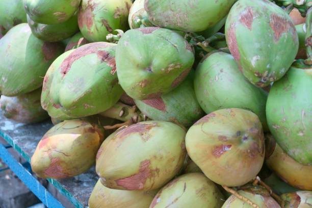 istock Image of fresh green, immature coconuts loaded on a handcart 1155271320