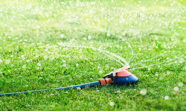 istock Garden Lawn sprinkler spraying water over the grass. 1155272018