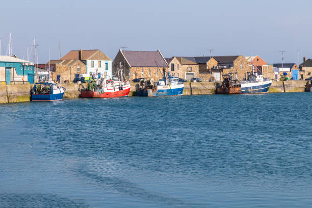istock Boats and Fish market in Howth Pier 1155272963