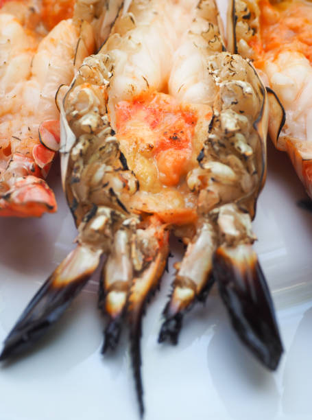 istock Grilled big tiger shrimps prawns on Plate. 1155274362