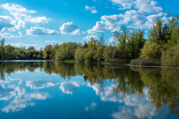 istock Blue skies reflecting on a lake 1155275560