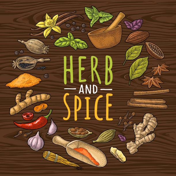 ilustrações de stock, clip art, desenhos animados e ícones de circle shape set with herb and spice. set vector color engraving - cardamom cinnamon mortar and pestle herb