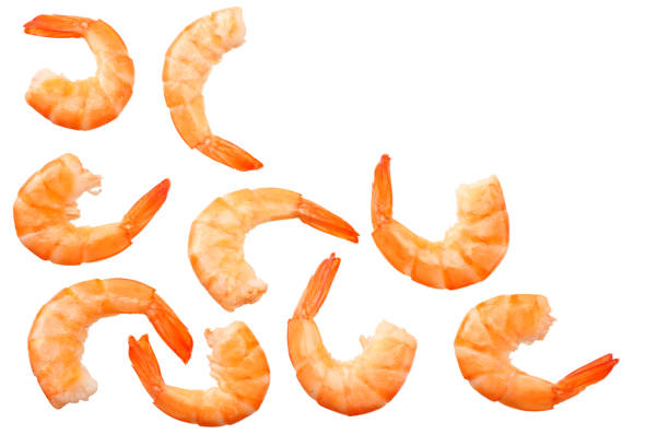 istock shrimps isolated on a white background. top view 1155277029