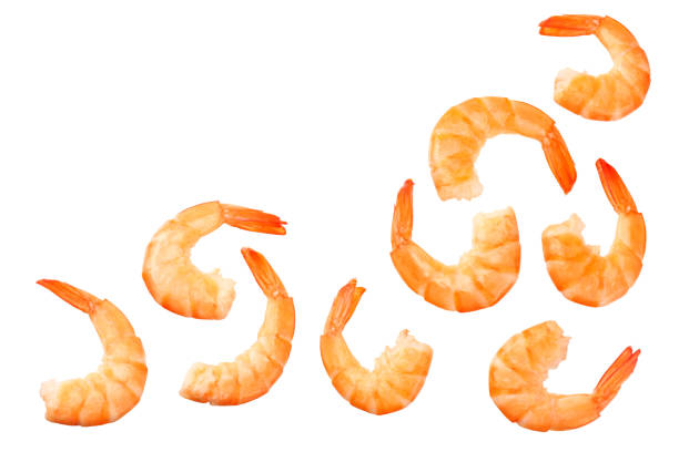 istock shrimps isolated on a white background. top view 1155277041