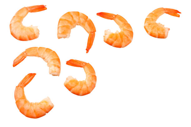 istock shrimps isolated on a white background. top view 1155277044