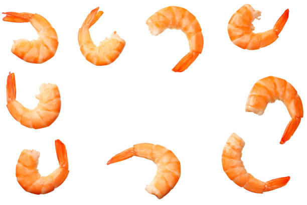 istock shrimps isolated on a white background. top view 1155277058