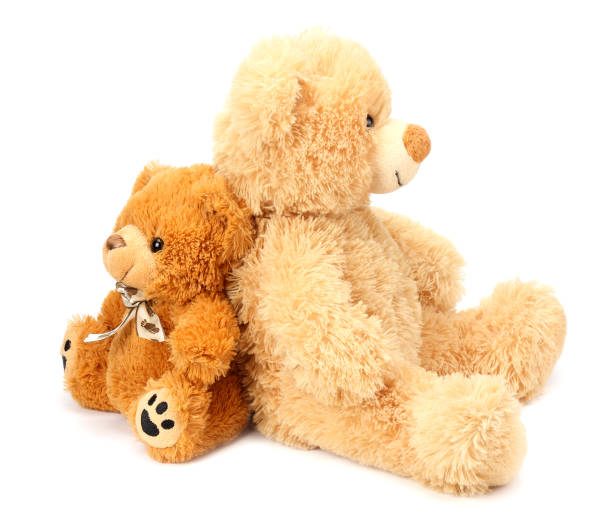 istock Two toy teddy bears isolated on white background 1155277193
