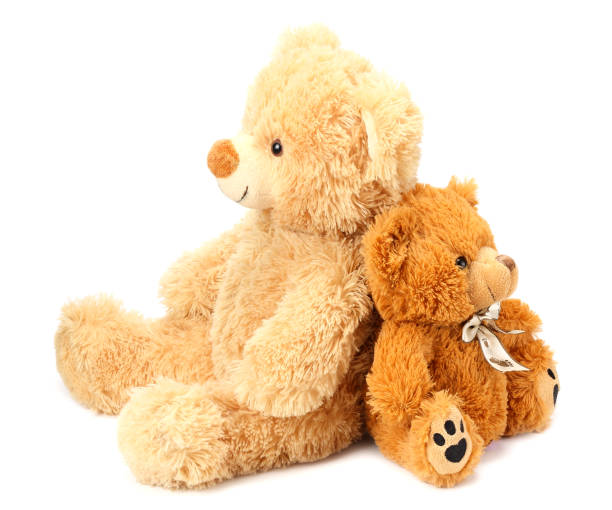 istock Two toy teddy bears isolated on white background 1155277380