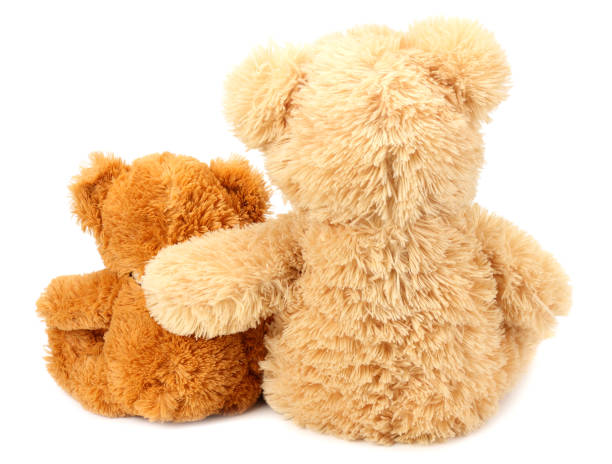 istock Two toy teddy bears isolated on white background 1155277451