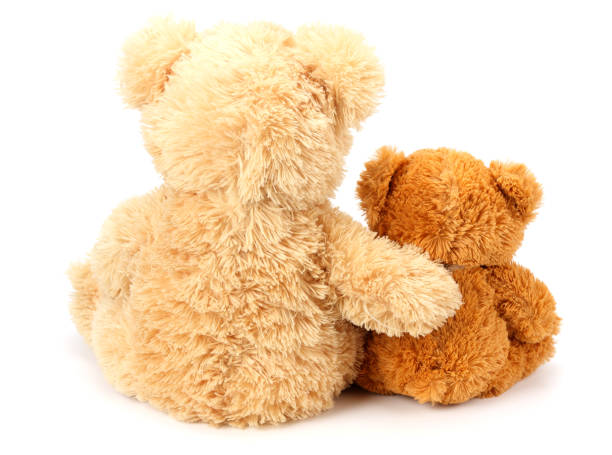 istock Two toy teddy bears isolated on white background 1155277486