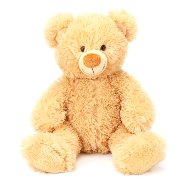 istock toy teddy bear isolated on white background 1155277511