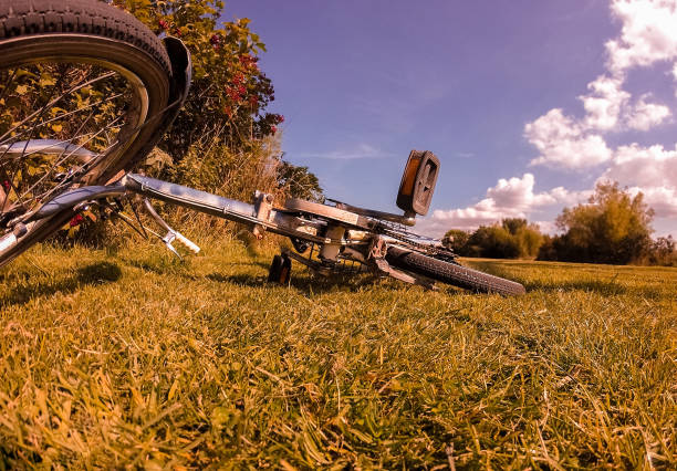 istock Bicycle on the grass on a sunny summer day outdoor 1155278141