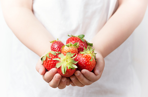 Child hands holding fresh red ripe strawberries, healthy eating for kids