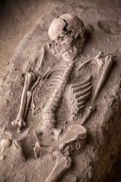 Photo of Human remains of ancient roman soldier on archaeological site excavated
