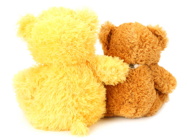 istock Two toy teddy bears isolated on white background 1155283452