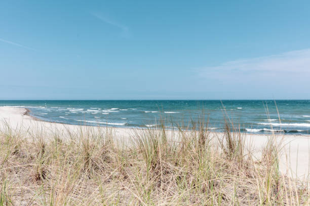 the view over the dune of the Baltic Sea in beautiful weather the view over the dune of the Baltic Sea in beautiful weather baltic sea photos stock pictures, royalty-free photos & images