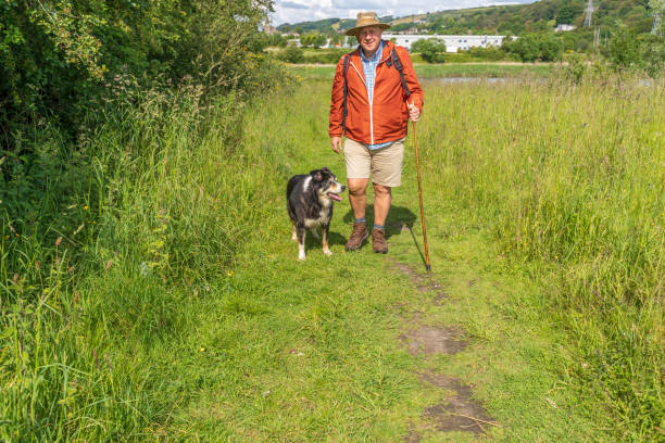 istock Active senior man and dog in countryside 1155284027