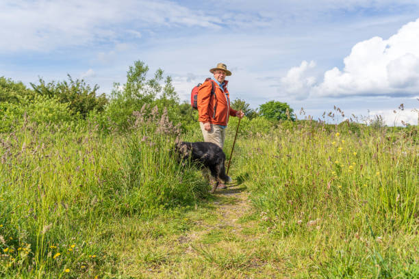 istock Active senior man and dog in countryside 1155284068