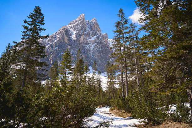 vista dos alpes da dolomite perto da vila de sesto no vale de pulster, na região de trentino alto-adige em italy. - altoadige - fotografias e filmes do acervo