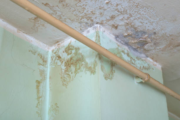 istock Leaking ceiling in domestic room 1155291288