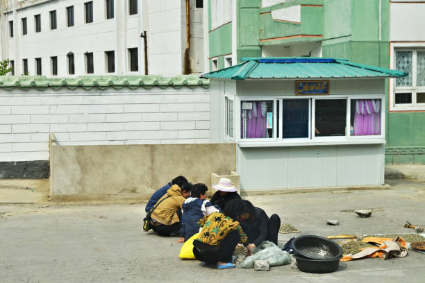 Wonsan, North Korea - May 4, 2019: Street scene   in Wonsan, one of the North Korean port on the Eastern seashore. Peasant women are work with dry herbs on a street
