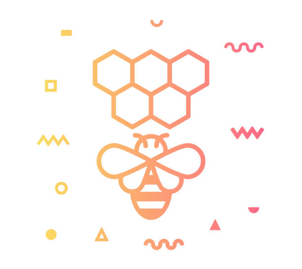 ilustraciones, imágenes clip art, dibujos animados e iconos de stock de estilo de la línea de la apicultura icono diseño - honey hexagon honeycomb spring