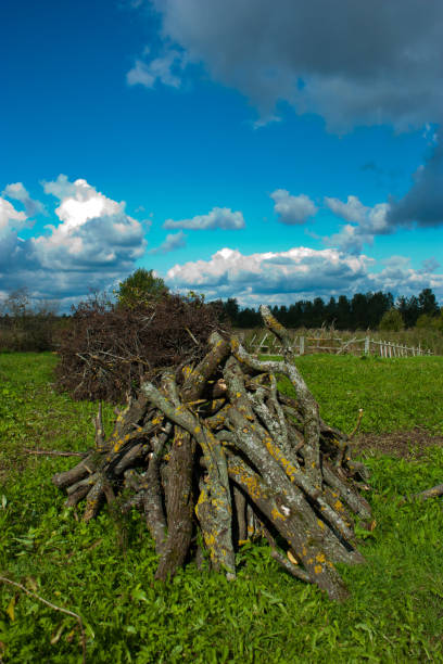 istock russia village wood blue sky 1155293650