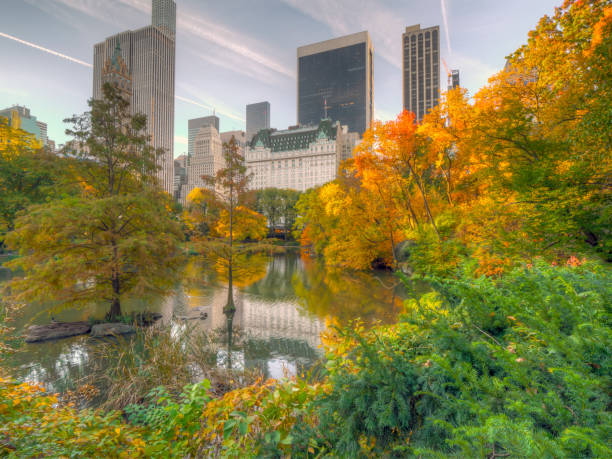 istock Central Park, New York City in autumn 1155293664
