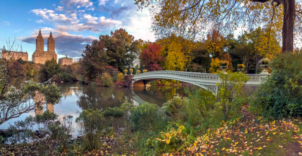 istock Bow bridge,Central Park, New York Cit 1155293853