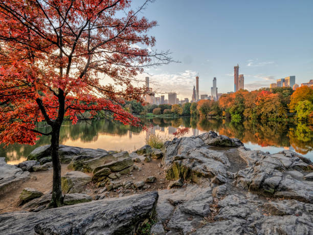 istock At the lake in Central Park 1155293889