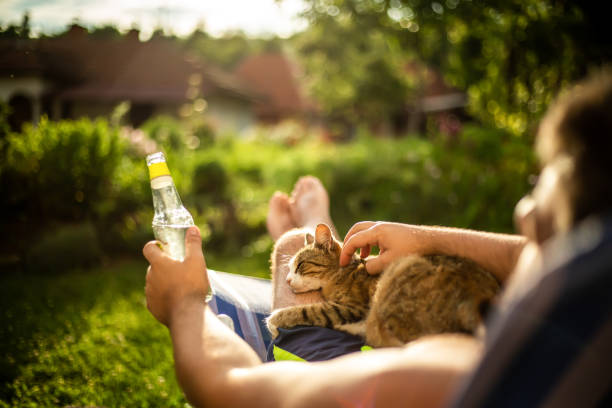 mężczyzna odpoczywający na leżaku z kotem - deck chair summer grass outdoor chair zdjęcia i obrazy z banku zdjęć