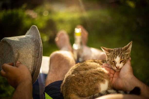 istock Man resting in deck chair with cat 1155296008