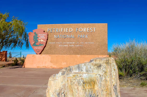 istock Petrified Forest National Park, Route 66 Arizona 1155297202