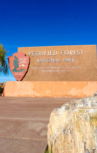 istock Petrified Forest National Park, Route 66 Arizona 1155297217