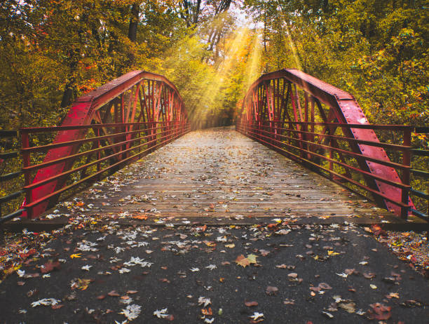Dramatic Old Wooden and Red Steel Bridge With Sunlight Rays
