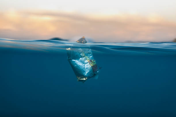 A wrapper from some food floats on the surface of the ocean