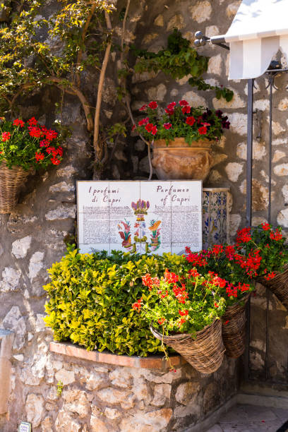 ancient perfume laboratory on capri island, amalfi coast - european culture ancient architecture still life imagens e fotografias de stock