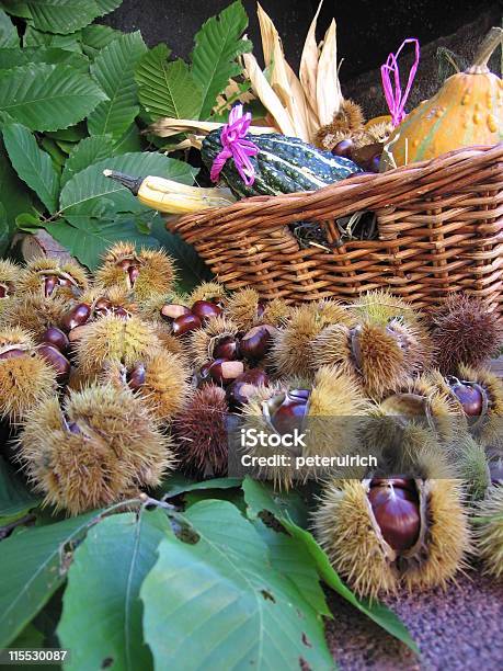 Foto de Castanha e mais fotos de stock de Cabaça - Cucúrbita - Cabaça - Cucúrbita, Cantão de Ticino, Fotografia - Imagem