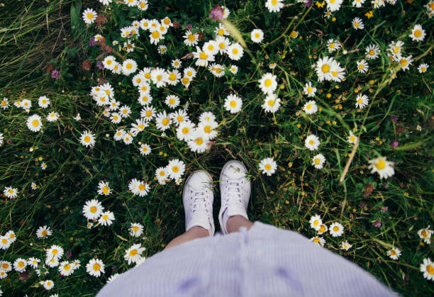 istock Top view of feet in field 1155301068