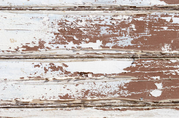 Grunge Wooden Board Texture Wall with White Paint is severely peeling Old Style Abstract Background stock photo